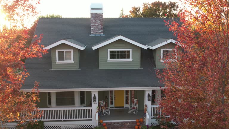 Best Sheet Metal Roofing  in Lockport Heights, IL
