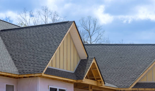 Best Roof Moss and Algae Removal  in Lockport Heights, IL