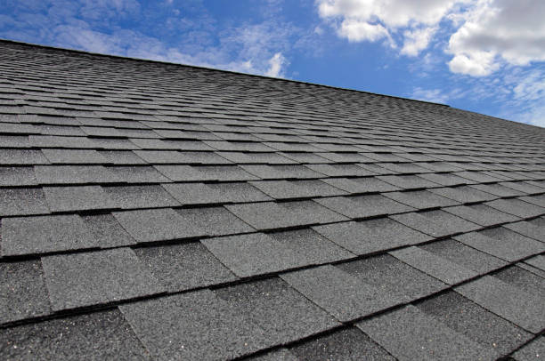 Best Skylight Installation and Repair  in Lockport Heights, IL